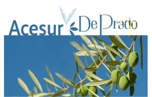 acesur deprado logo